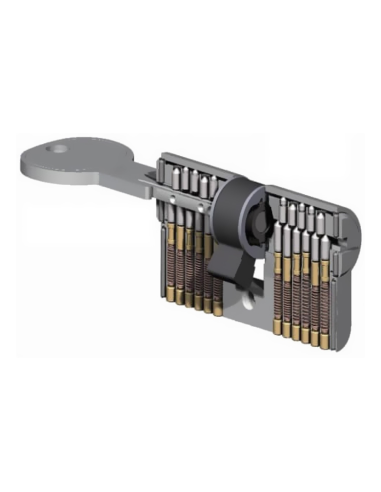 CILINDRO ISEO R6 SEG 30+50 NIQ L/L LL/IG 8809